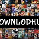 Understanding DownloadHub: A Controversial Movie Website